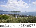 Shodoshima Olive a 41540577