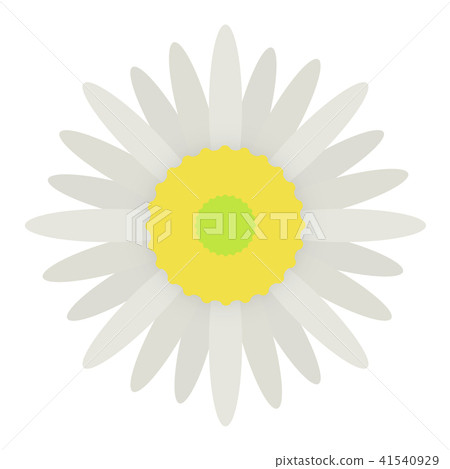 Apoias Apoias 41540929