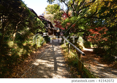 Tokorozen Naganuma Park八王子市 41542072
