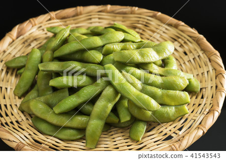 毛豆 毛豆 41543543