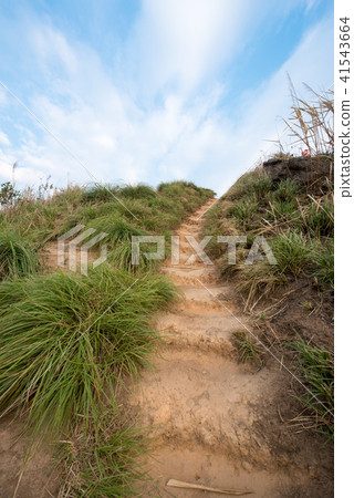 View of the walk way to the top of Phu Chi Fa. View of the walk way to the top of Phu Chi Fa. 41543664