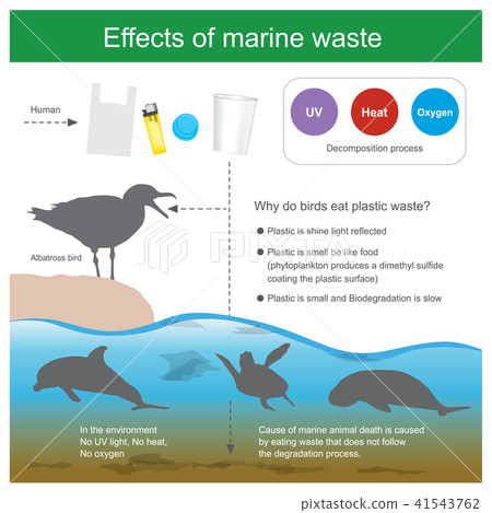 Effects of marine waste. 41543762