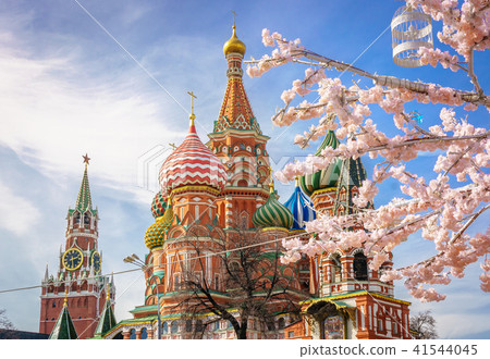 beautiful view of St. Basil's Cathedral. The bloom of Sakura in Moscow. spring season. Russia, the beautiful view of St. Basil's Cathedral. The bloom of Sakura in Moscow. spring season. Russia, the 41544045