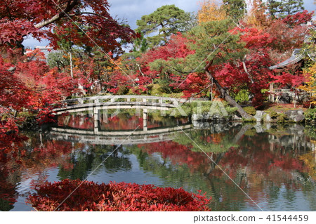Kyoto Higashiyama Eikan-do (Zenrinji Temple) with a pond that reflects the beautiful autumn colors Kyoto Higashiyama Eikan-do (Zenrinji Temple) with a pond that reflects the beautiful autumn colors 41544459