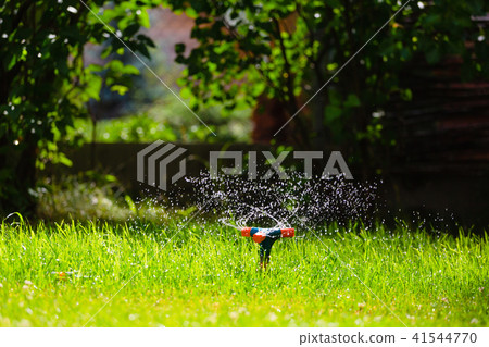 Rotating garden sprinkler watering grass 41544770