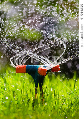 Garden sprinkler watering grass Garden sprinkler watering grass 41544835