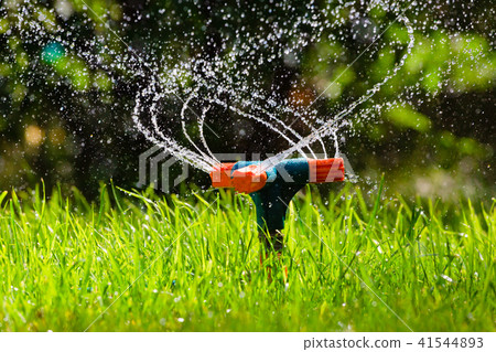 Garden sprinkler watering grass 41544893