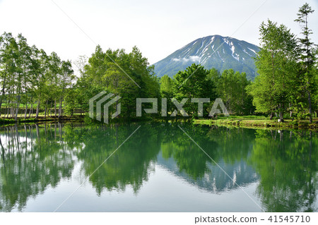 在北海道的俱知安町拍攝Yotei泉水池的早晨風景 41545710