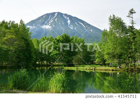 在北海道的俱知安町拍攝Yotei泉水池的早晨風景 41545711