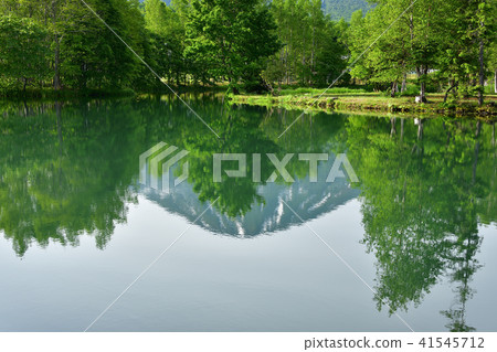 在北海道的俱知安町拍攝Yotei泉水池的早晨風景 41545712