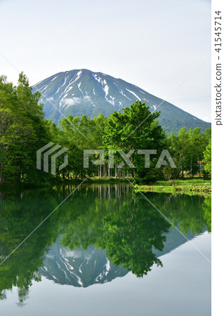 在北海道的俱知安町拍攝Yotei泉水池的早晨風景 41545714