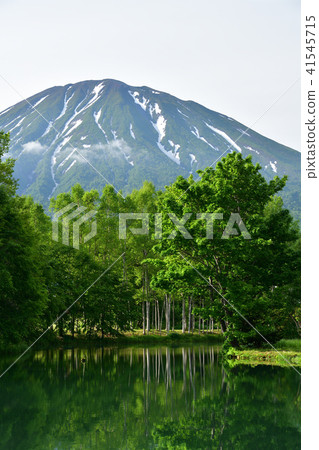 在北海道的俱知安町拍攝Yotei泉水池的早晨風景 在北海道的俱知安町拍攝Yotei泉水池的早晨風景 41545715