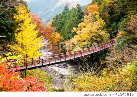東京秋葉Akigawa谷Ishinbashi橋樑 東京秋葉Akigawa谷Ishinbashi橋樑 41545916