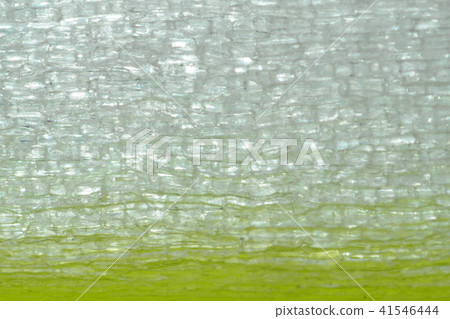 擴大長洋蔥 41546444