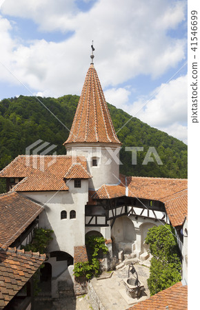 Courtyard of "Dracula" castle 41546699