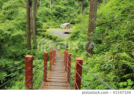 Chichibu Kegon Waterfall / Promenade Chichibu Kegon Waterfall / Promenade 41547109