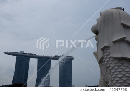 濱海灣金沙和魚尾獅 41547768