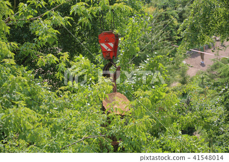 Crane hook and tree 41548014