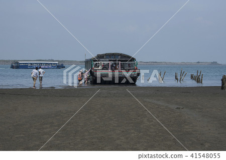 嘉義外傘頂洲蚵架遊客挖文蛤 嘉義外傘頂洲蚵架遊客挖文蛤 41548055