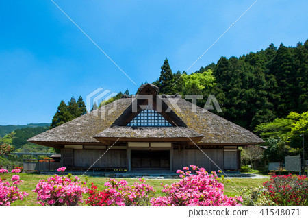 前Tateguide地址簿辦公室 前Tateguide地址簿辦公室 41548071