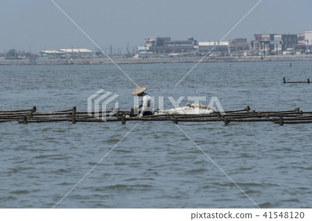 養殖採蚵漁人 41548120