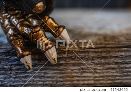 Metal dragon nails artifact, fear concept Metal dragon nails artifact, fear concept 41548663