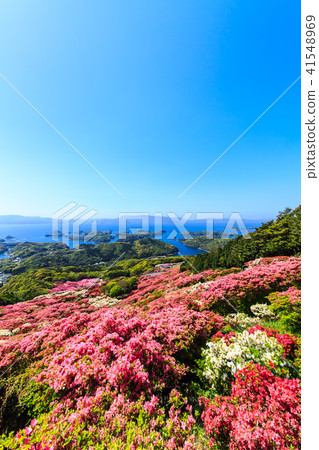 Nagakushiyama Azalea Festival and Kujukushima [Shikamachi Town, Sasebo City, Nagasaki Prefecture] 41548969