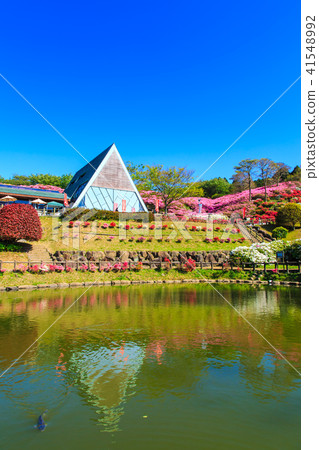 長ak山杜鵑花節[長崎縣佐世保市加賀町町] 41548992