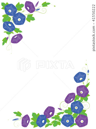 Vector illustration design morning glory summer image Japanese style frame decoration Vector illustration design morning glory summer image Japanese style frame decoration 41550222