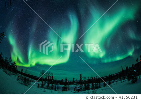 "Canada Northwest Territories" Yellowknife Aurora 41550231
