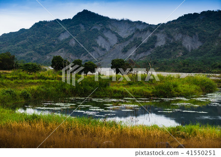 Taitung Luye Xinliang Wetland Taitung Luye Xinliang Wetland 41550251