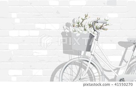 magnolia flowers and vintage bicycle beside wall magnolia flowers and vintage bicycle beside wall 41550270