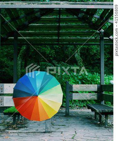 彩虹領 彩虹領 41550809