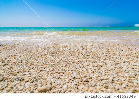 [沖繩縣]海灘形象 41552349