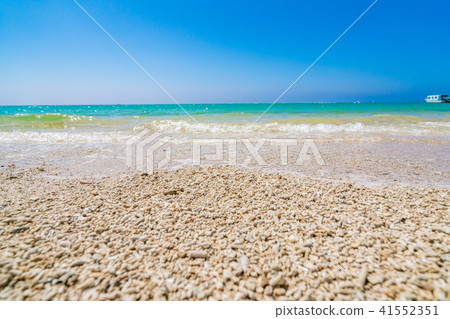 [沖繩縣]海灘形象 41552351