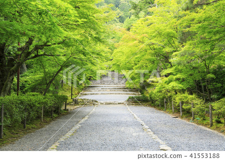 京都·Nisyoin·秋葉竹·藍楓 41553188