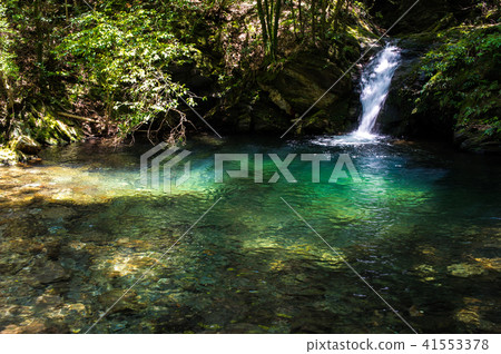 長崎縣森林 41553378