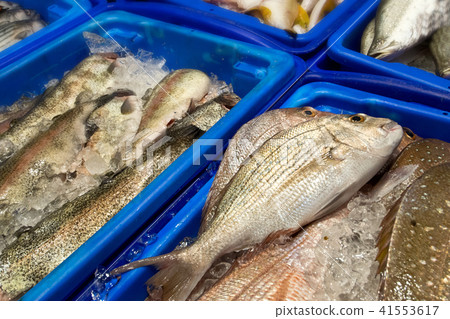 Detail of fresh fish in the fish market. 41553617