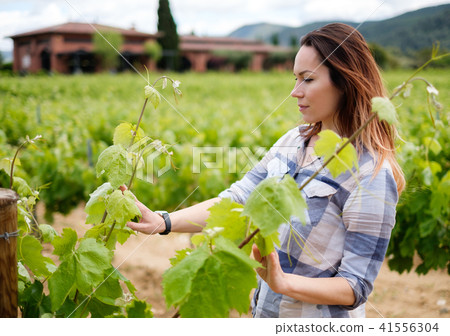 Young woman in vineyard Young woman in vineyard 41556304
