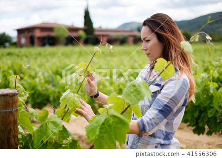 Young woman in vineyard 41556306
