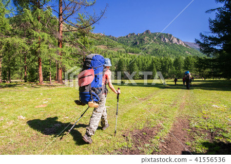 Young woman hiker on a sunny day trekking in high mountains 41556536