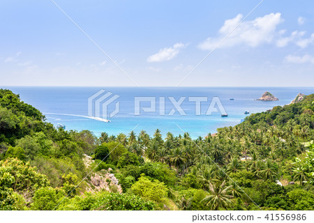 High angle view at Koh Tao 41556986