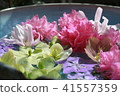 Flowers floating on water 41557359