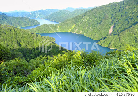 Tagokurako Tagokurako 41557686