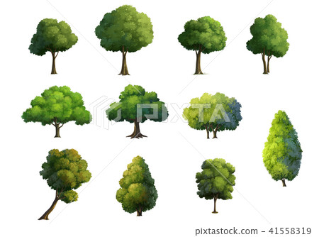 trees isolated on white background - Stock Illustration [41558319] - PIXTA