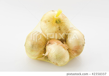 New onion net included New onion net included 41558337