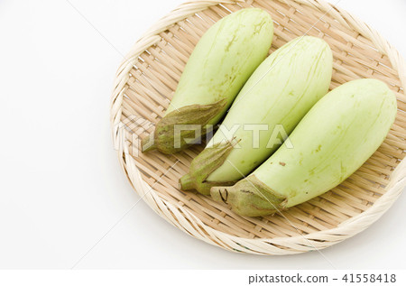 藍茄子 41558418