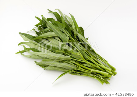 Konjin soi Konjin soi 41558490