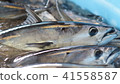 油炸鰹魚 41558587