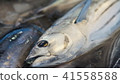 油炸鰹魚 41558588